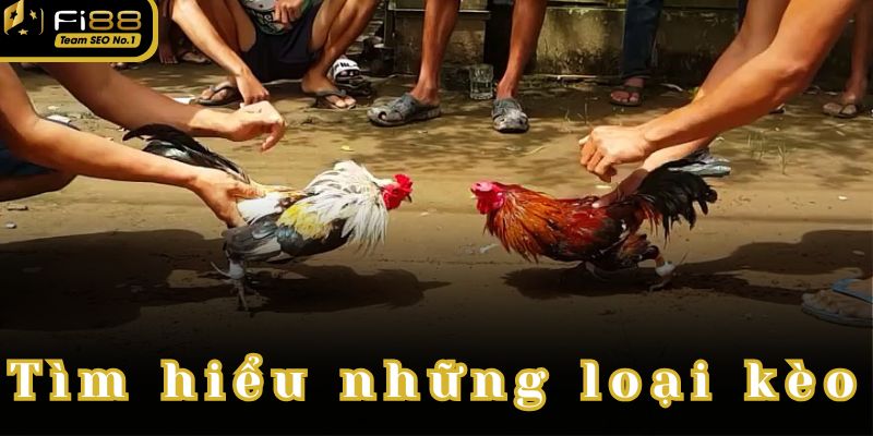 Tìm hiểu những loại kèo có tại Đá gà Fi88.